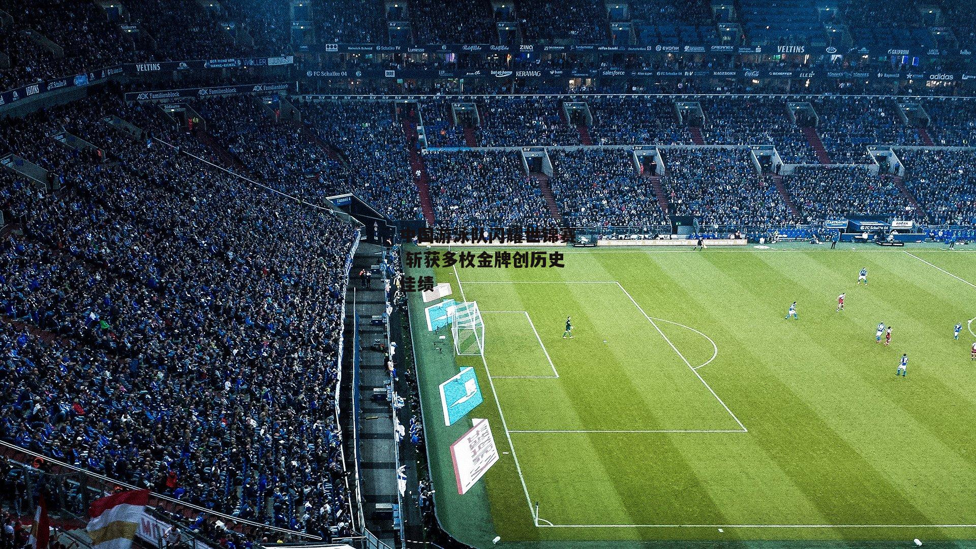 中国游泳队闪耀世锦赛 斩获多枚金牌创历史佳绩